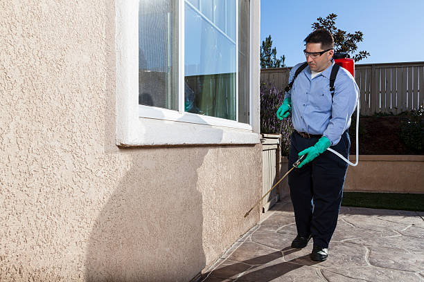 Pest Control for Warehouses in Mclean, TX